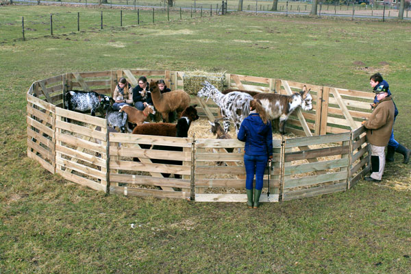 Mobiele kinderboerderij
