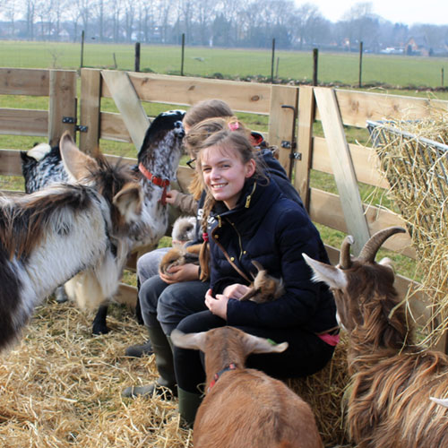 Mobiele kinderboerderij